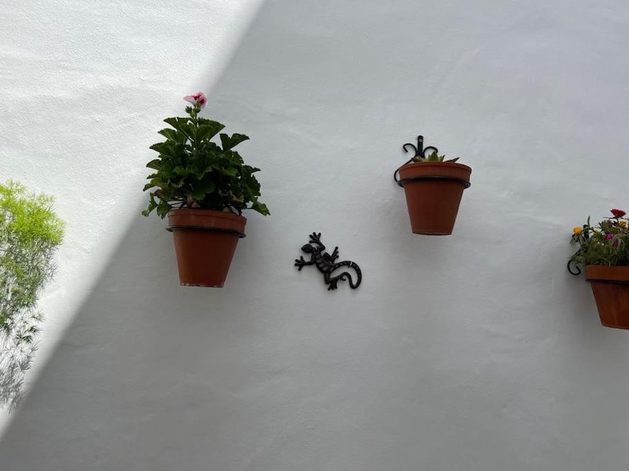 Casa Encantadora Olvera Extérieur photo